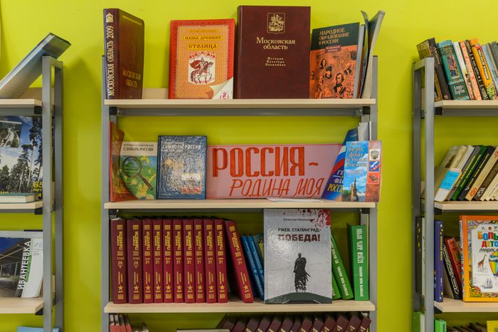 Пушкино. СОШ № 8