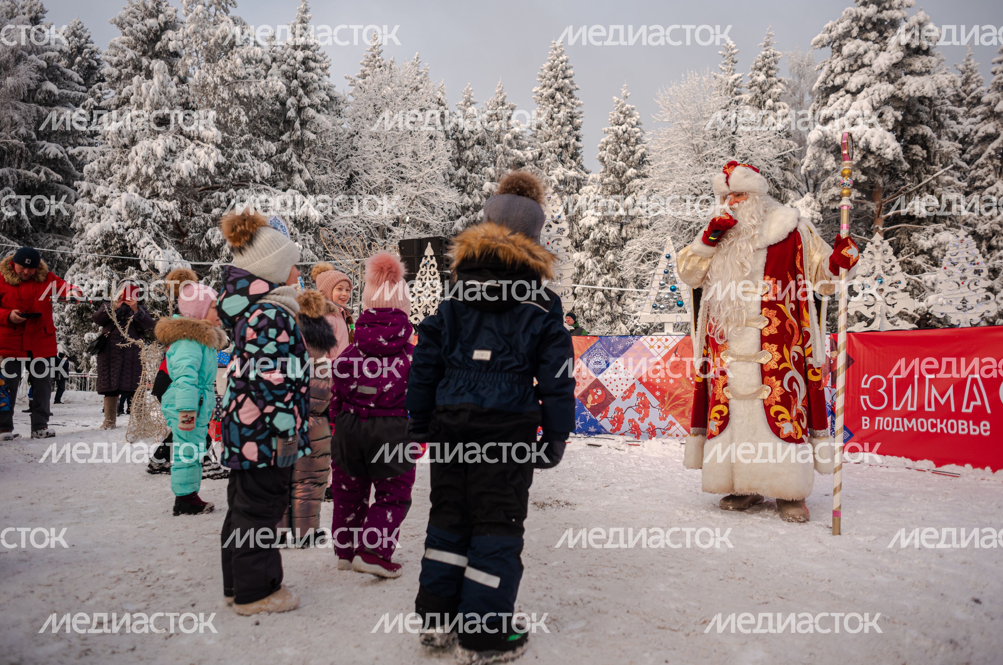 Рубка главной новогодней елки страны