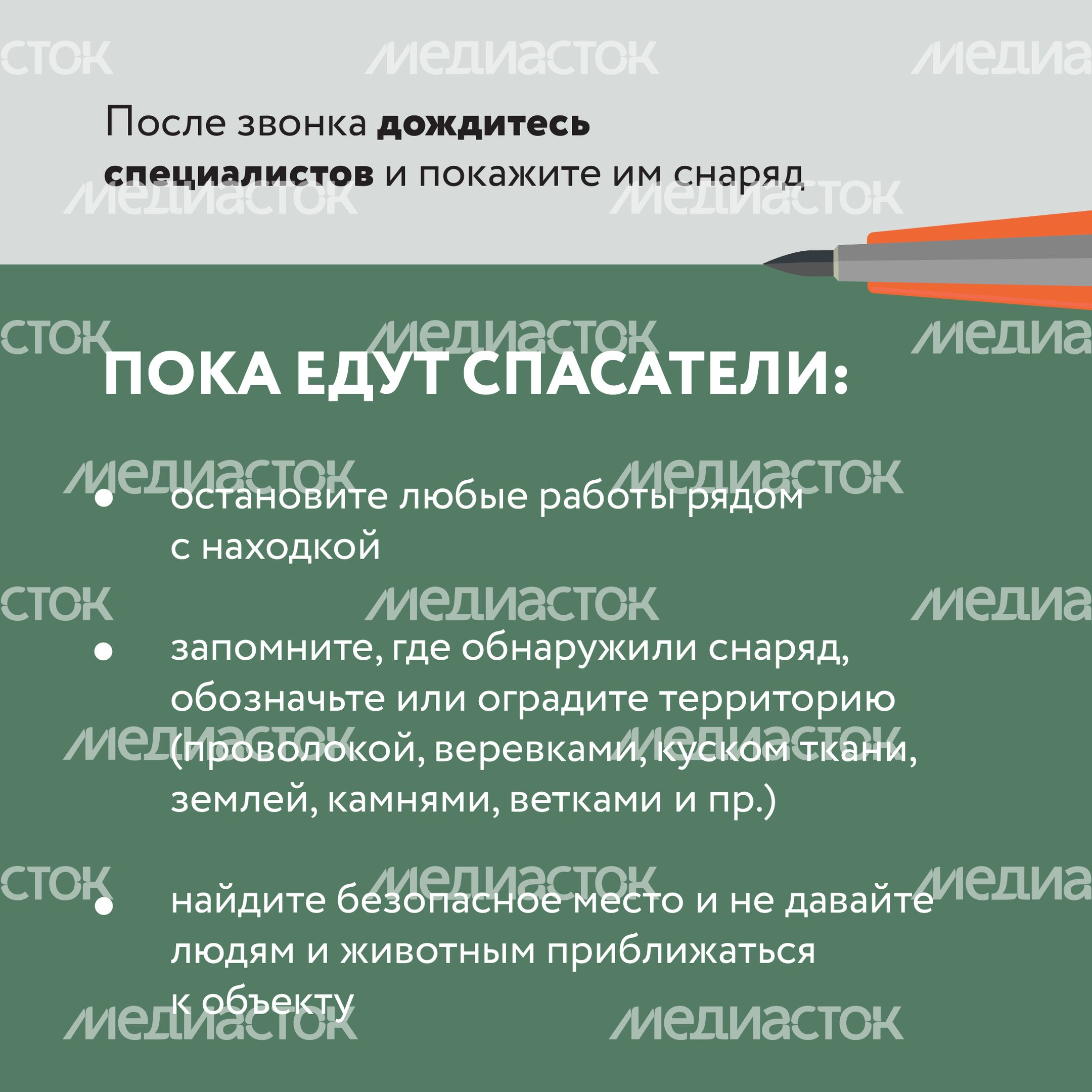 Подозрительный предмет в лесу-15