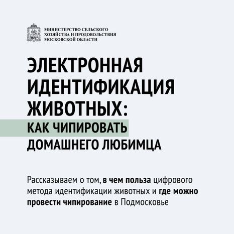 Чипирование-13.jpg