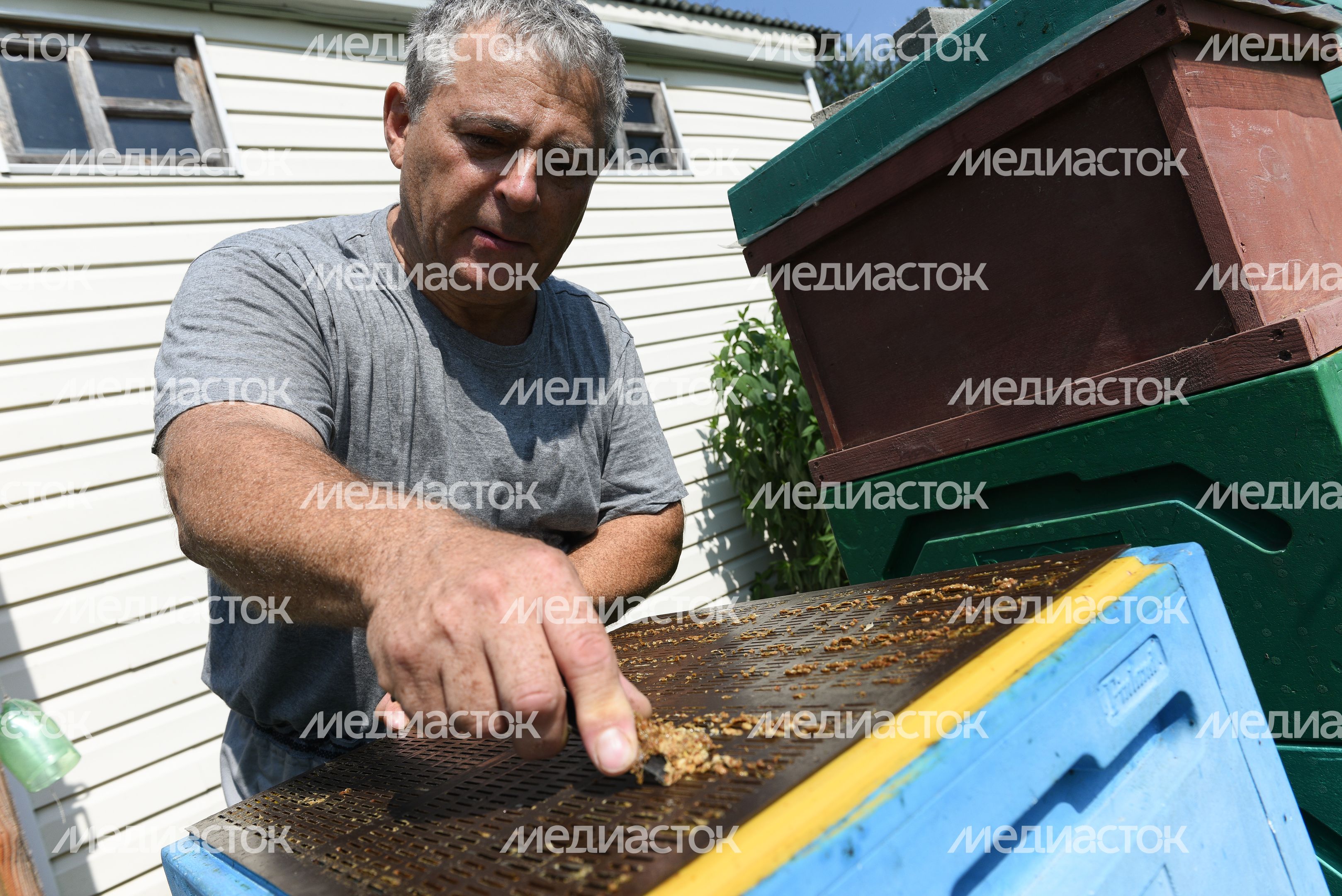 Пчеловод из Королева, 2 часть