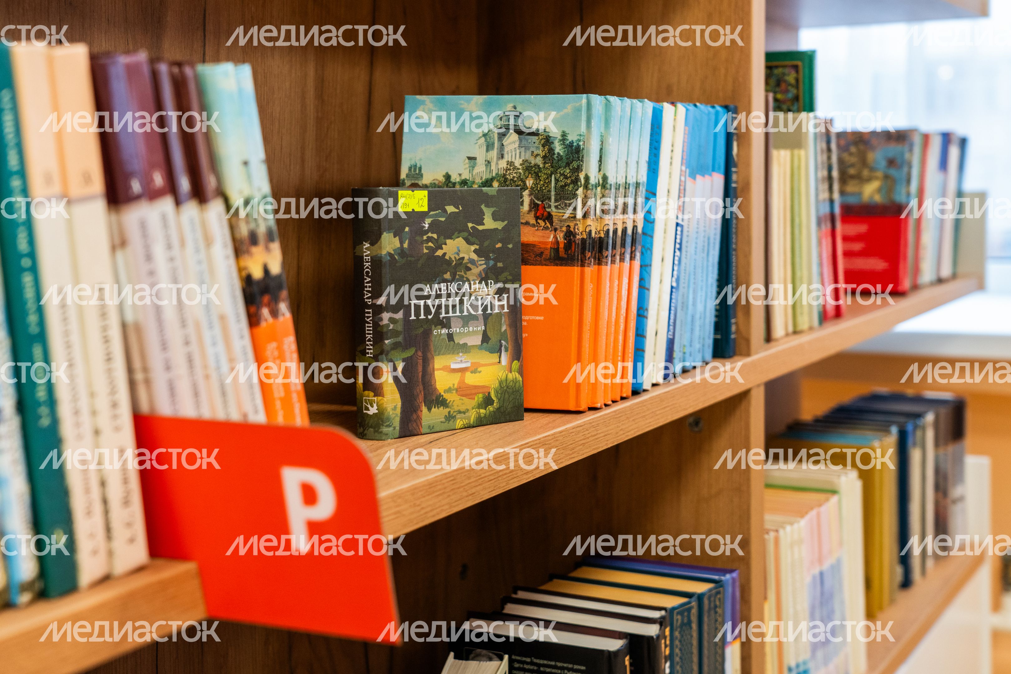 Книги на полке в Центральной библиотеке «Книгополис» – первой модульной библиотеке Наро-Фоминска Книги на полке в Центральной библиотеке «Книгополис» – первой модульной библиотеке Наро-Фоминска