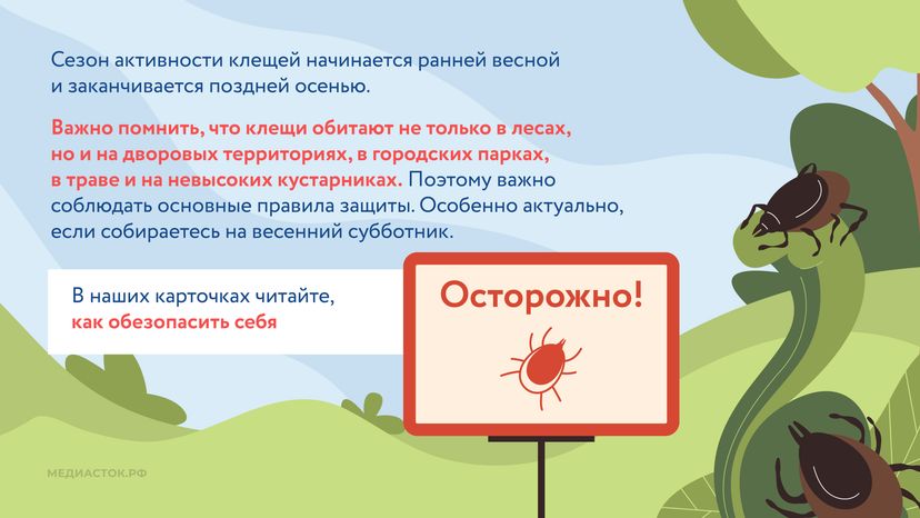 Как защититься от клещей горизонталь 02
