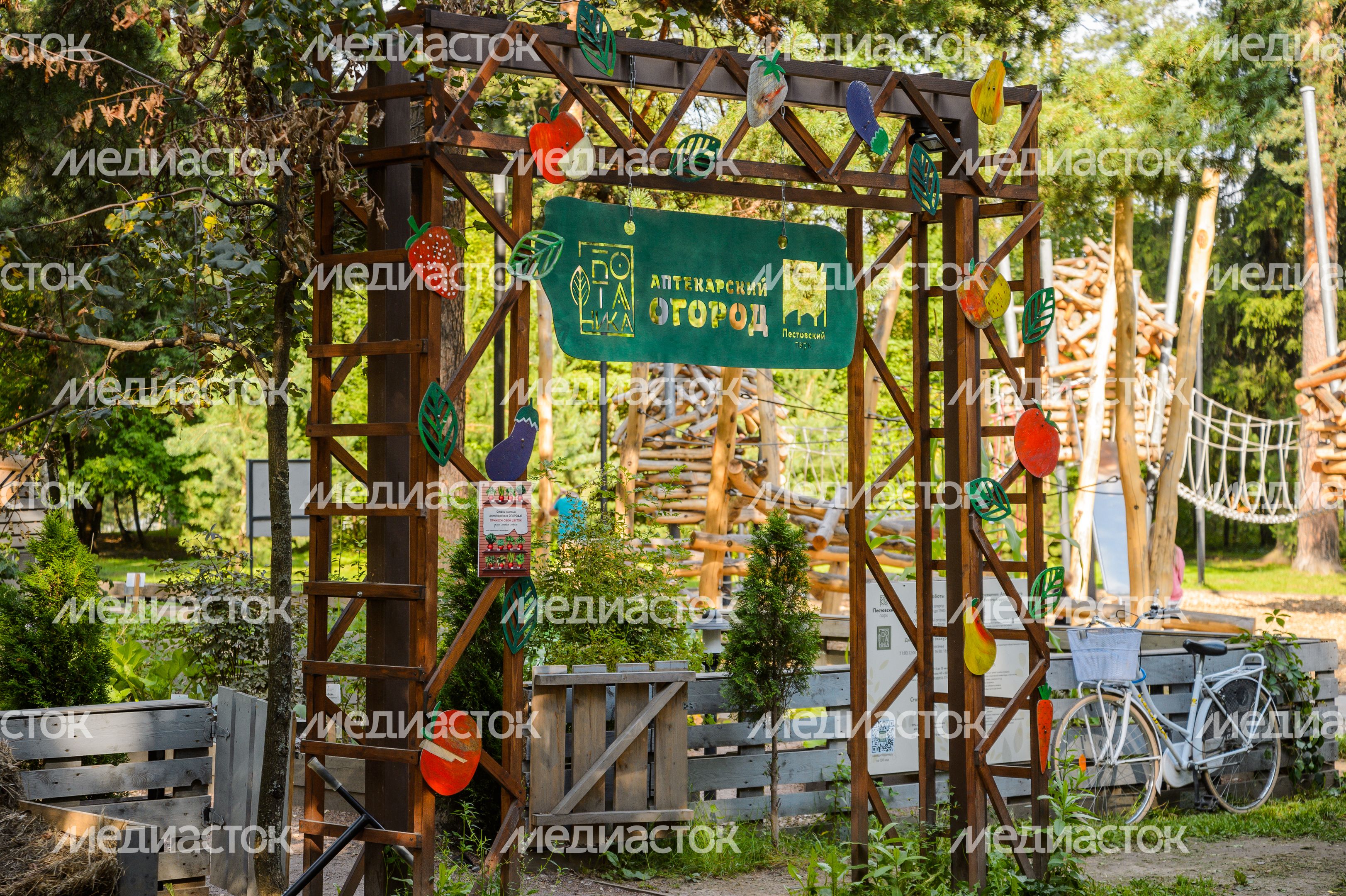 Балашиха. Пестовский парк Балашиха. Пестовский парк