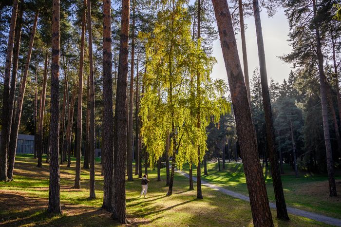 Жуковский парк культуры и отдыха осенью