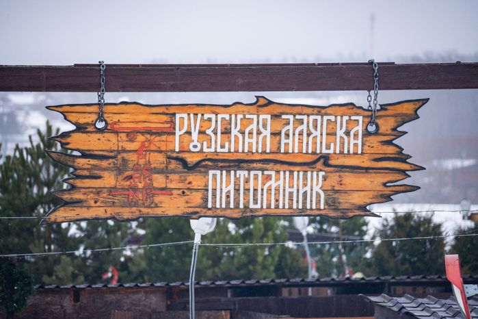 Хаски-деревня "Рузская Аляска" в Рузском округе