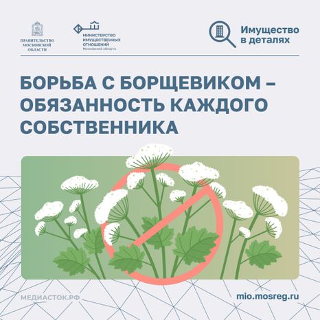 Борьба с борщевиком квадрат 01