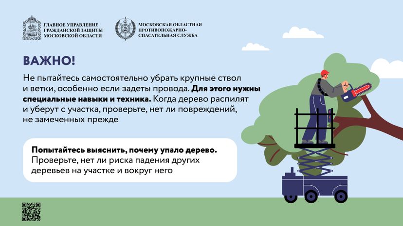 Аварийные деревья_Горизонталь-07.jpg