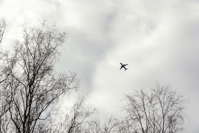 Мещерский парк в Одинцовском округе. Весна