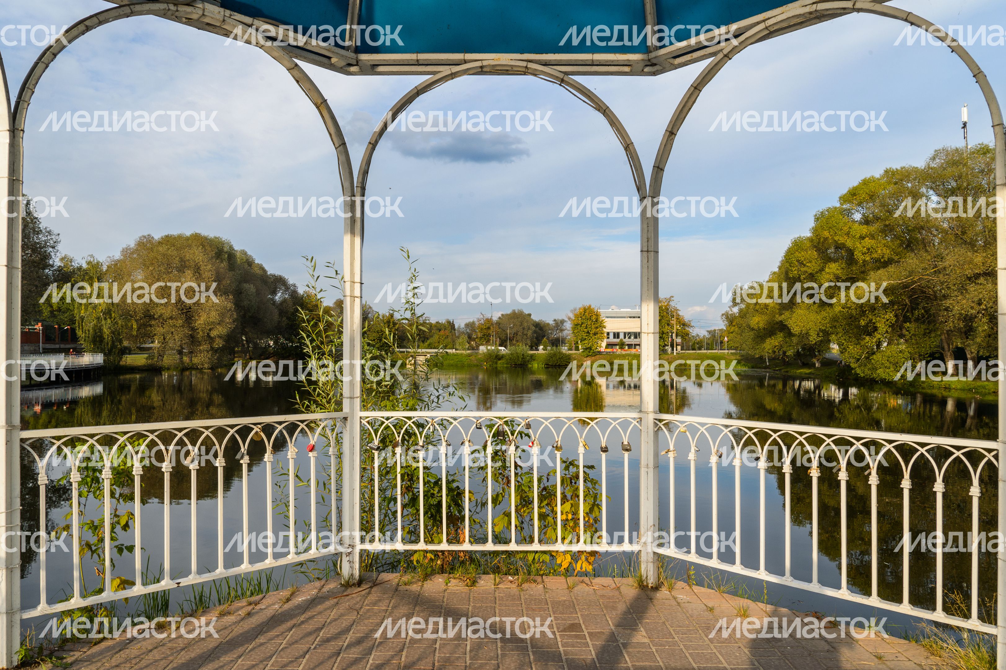 Бронницы. Кожурновский пруд Бронницы. Кожурновский пруд