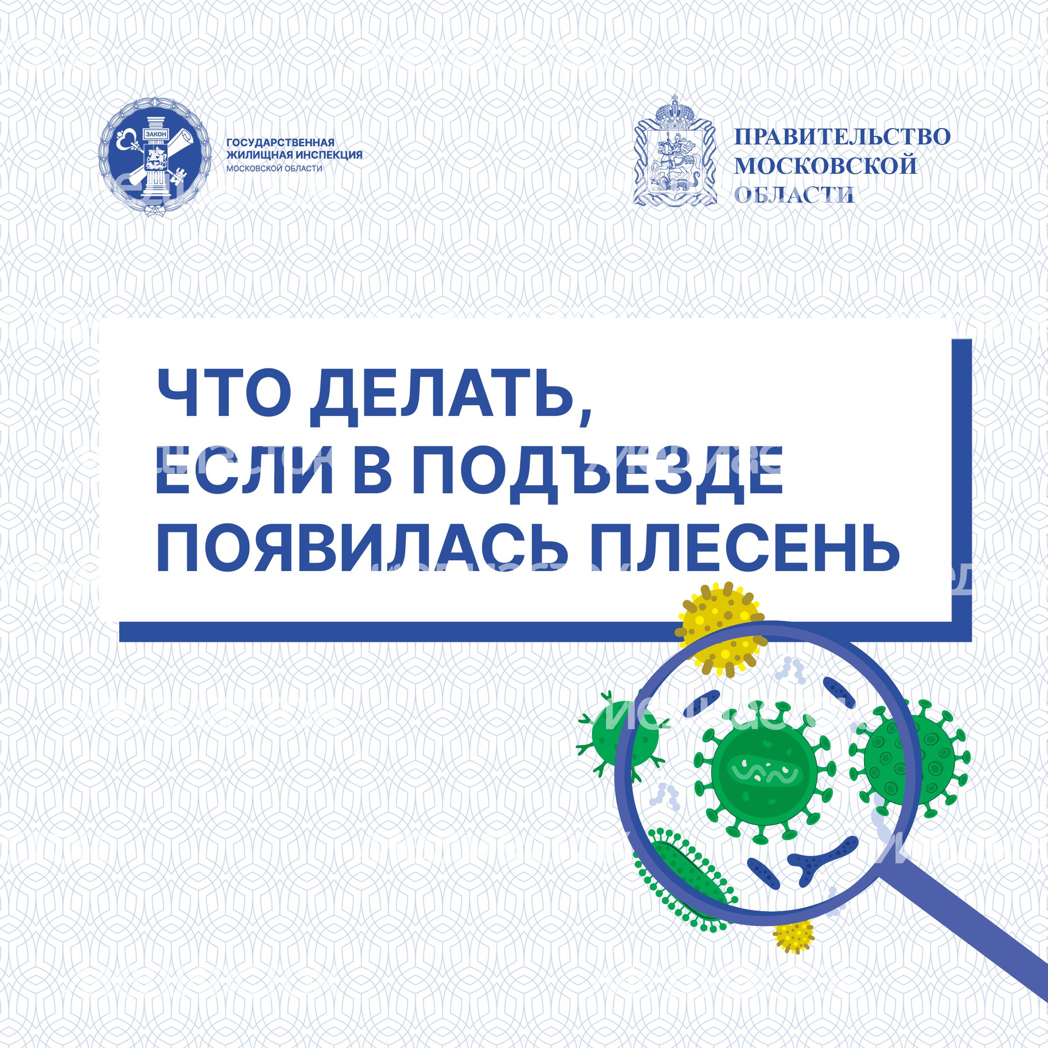 Квадрат Плесень 01.jpg