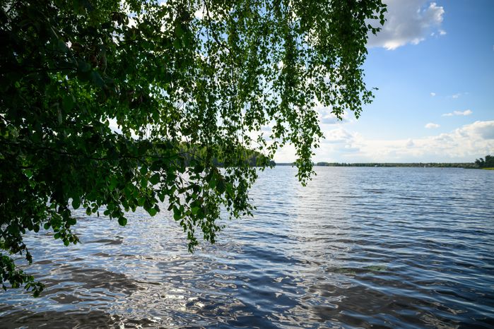 Глэмпинг "Под небом" в Пушкинском городском округе