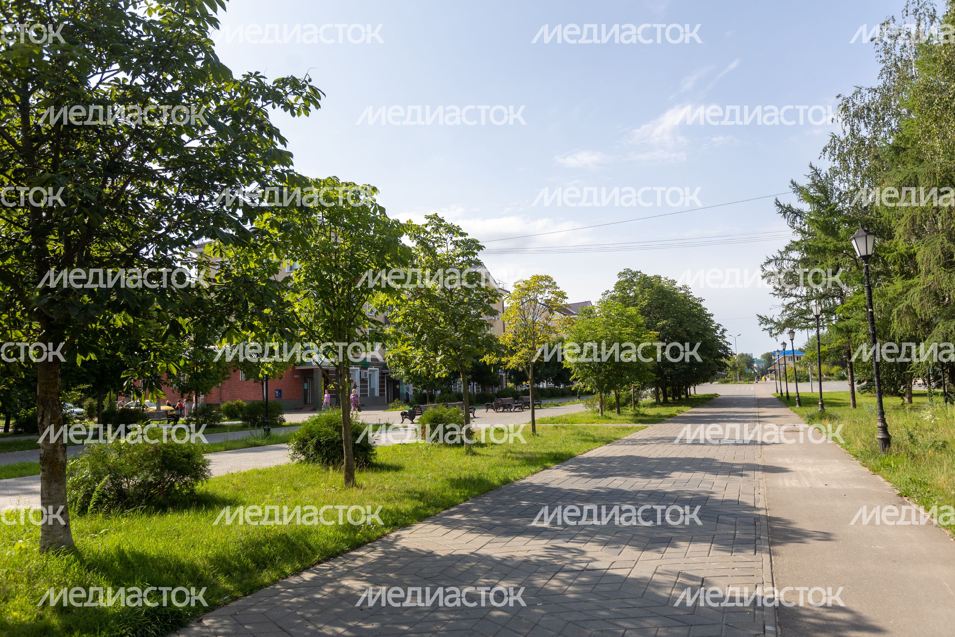 Петровский бульвар в Лосино-Петровском