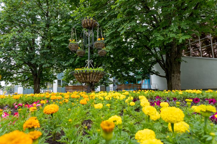 Администрация Одинцово