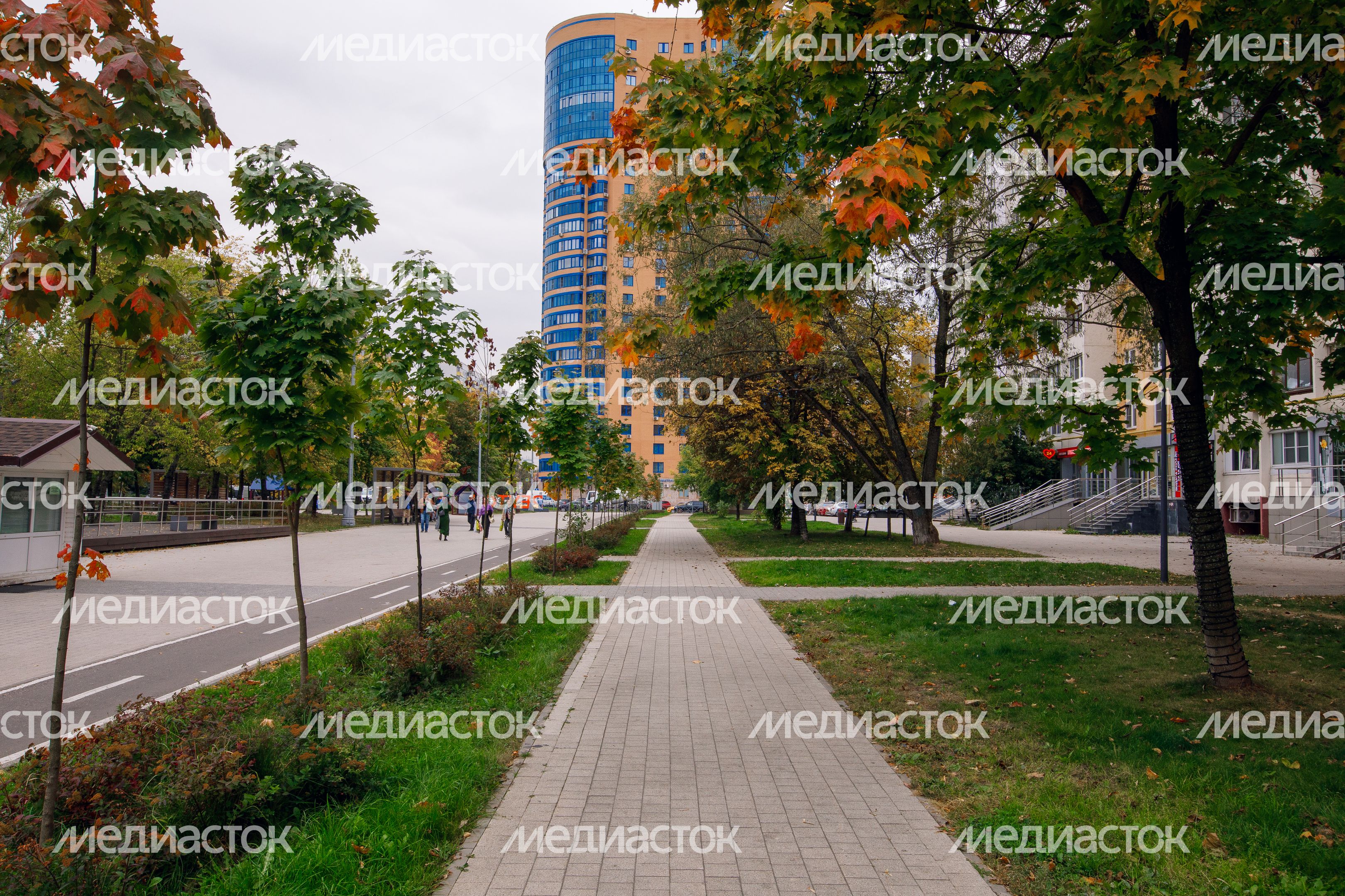 Реутов. Улица Октября Реутов. Улица Октября