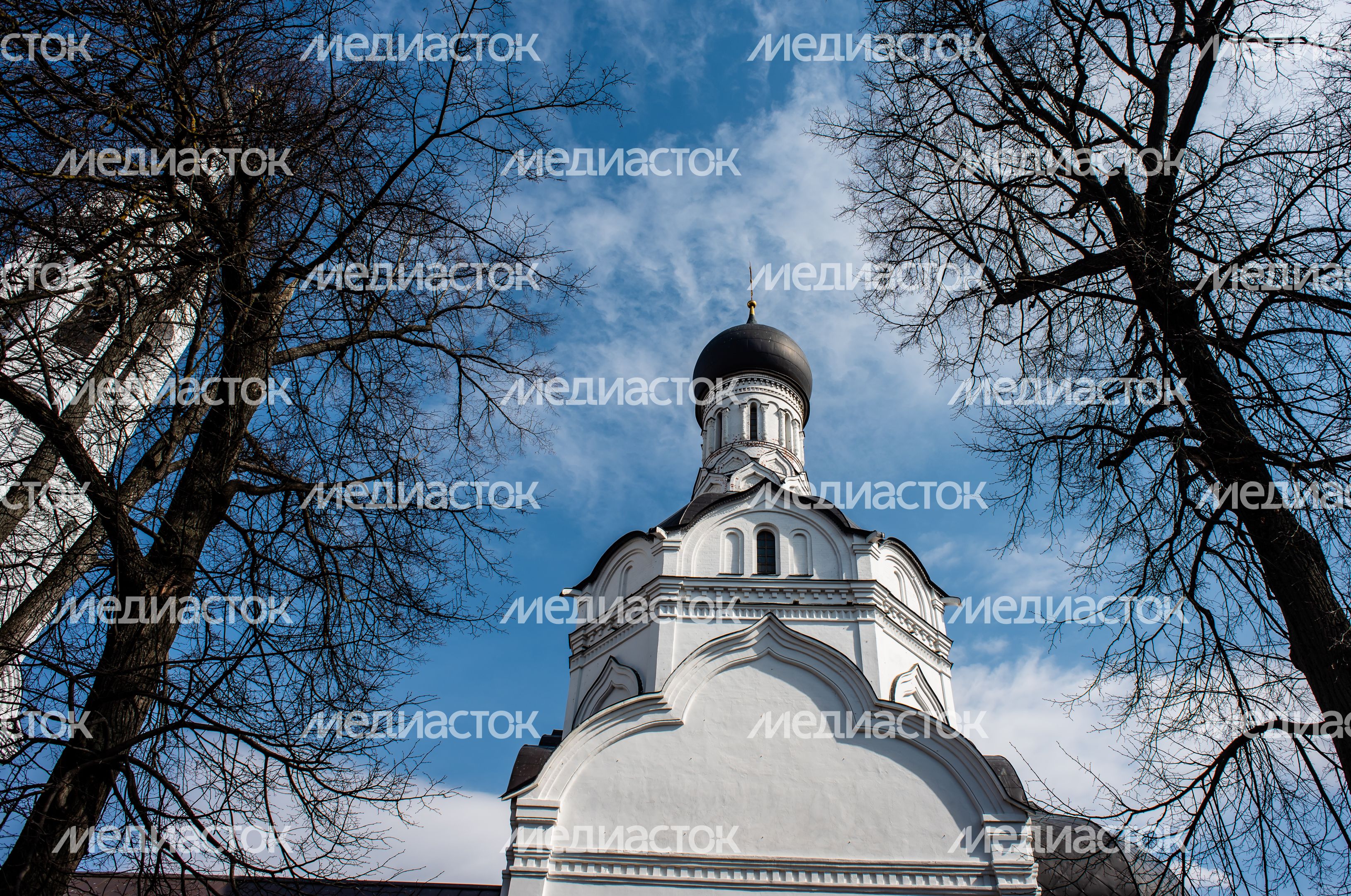 Весенние виды Церкви Благовещения Пресвятой Богородицы в селе Липицы