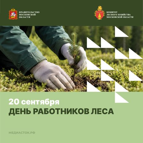 День работников леса квадрат 01