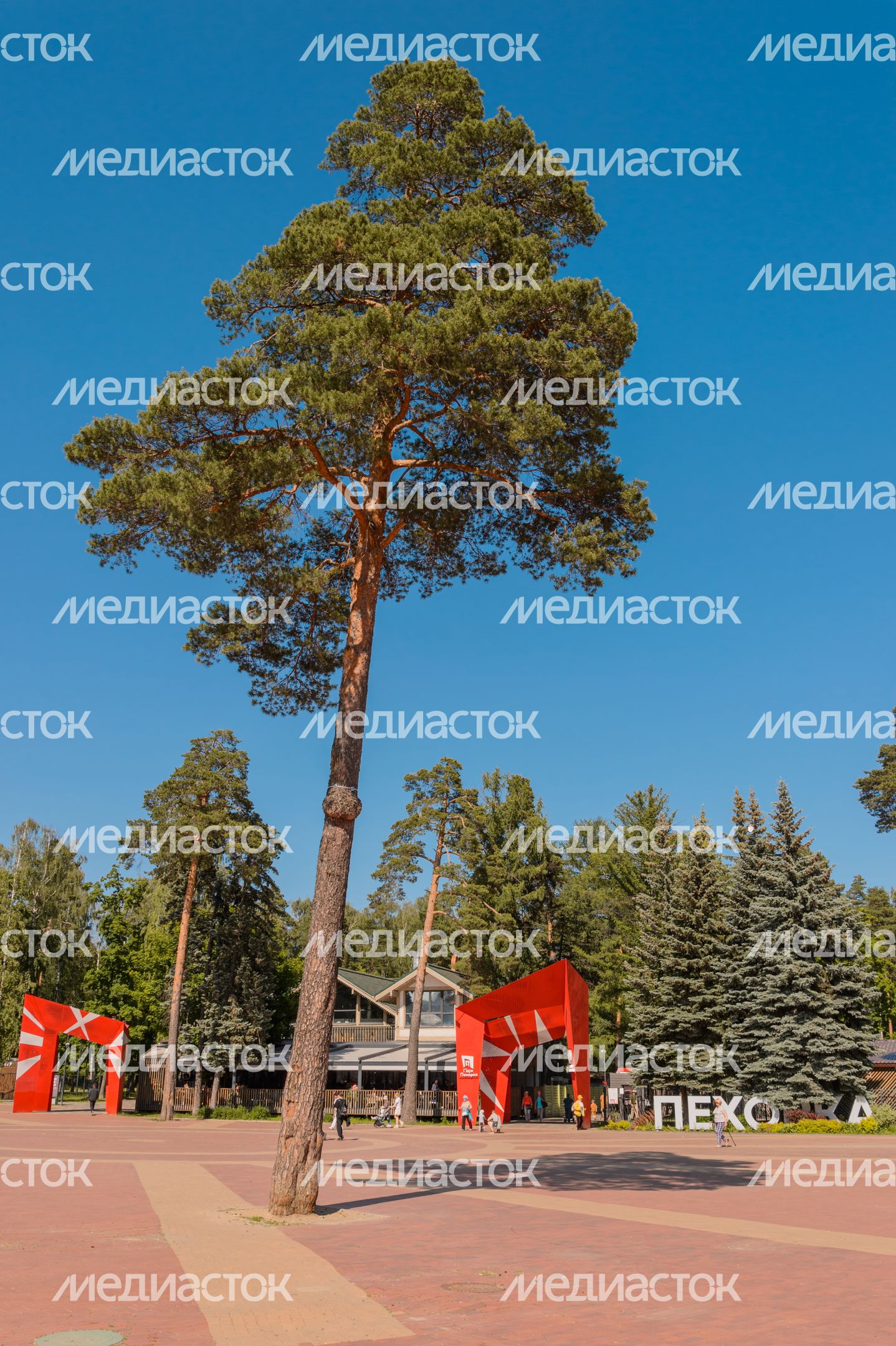 Парк Пехорка