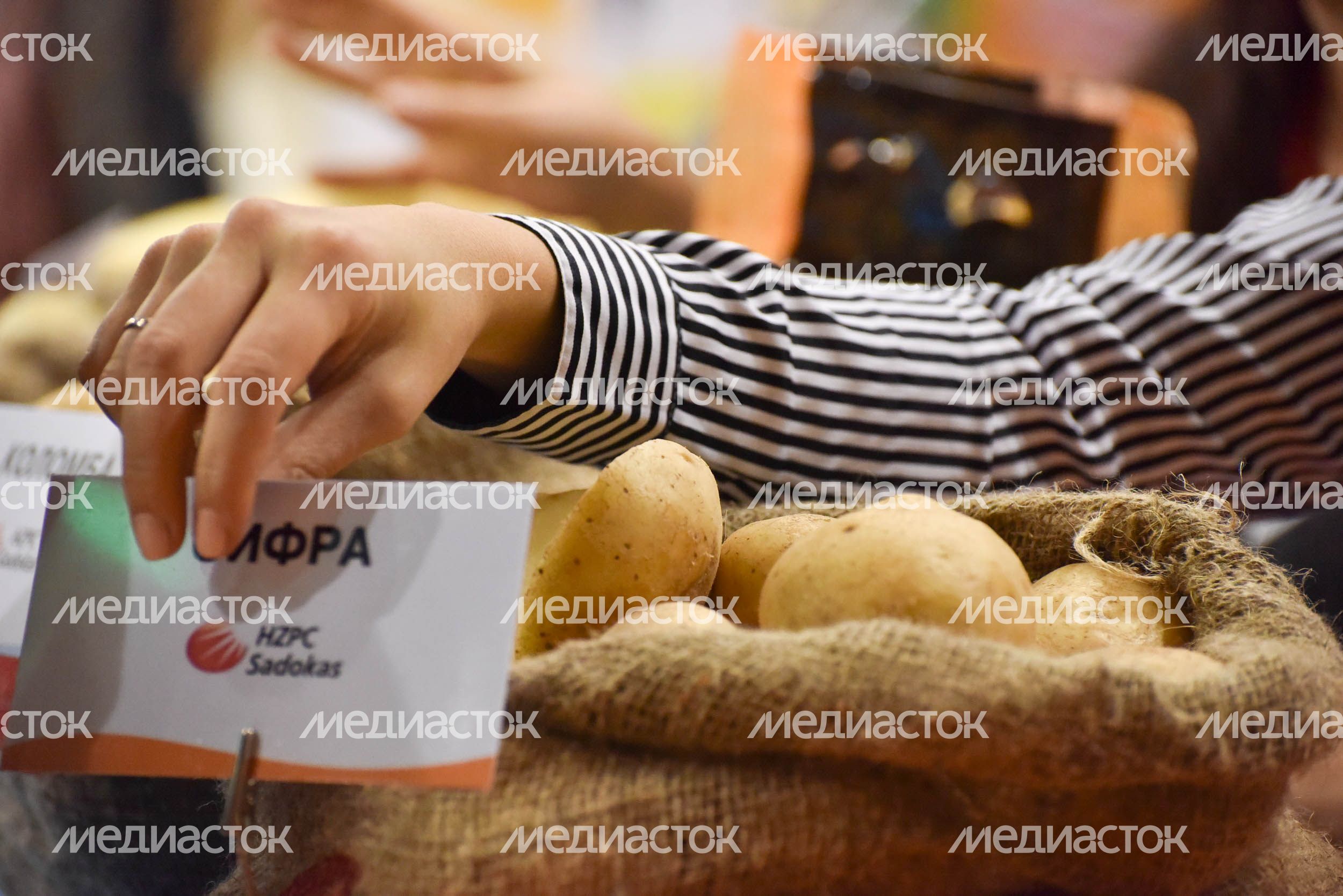 XVIII Российская агропромышленная выставка «Золотая осень»