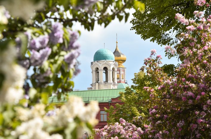 Повседневная жизнь в Москве в период цветения