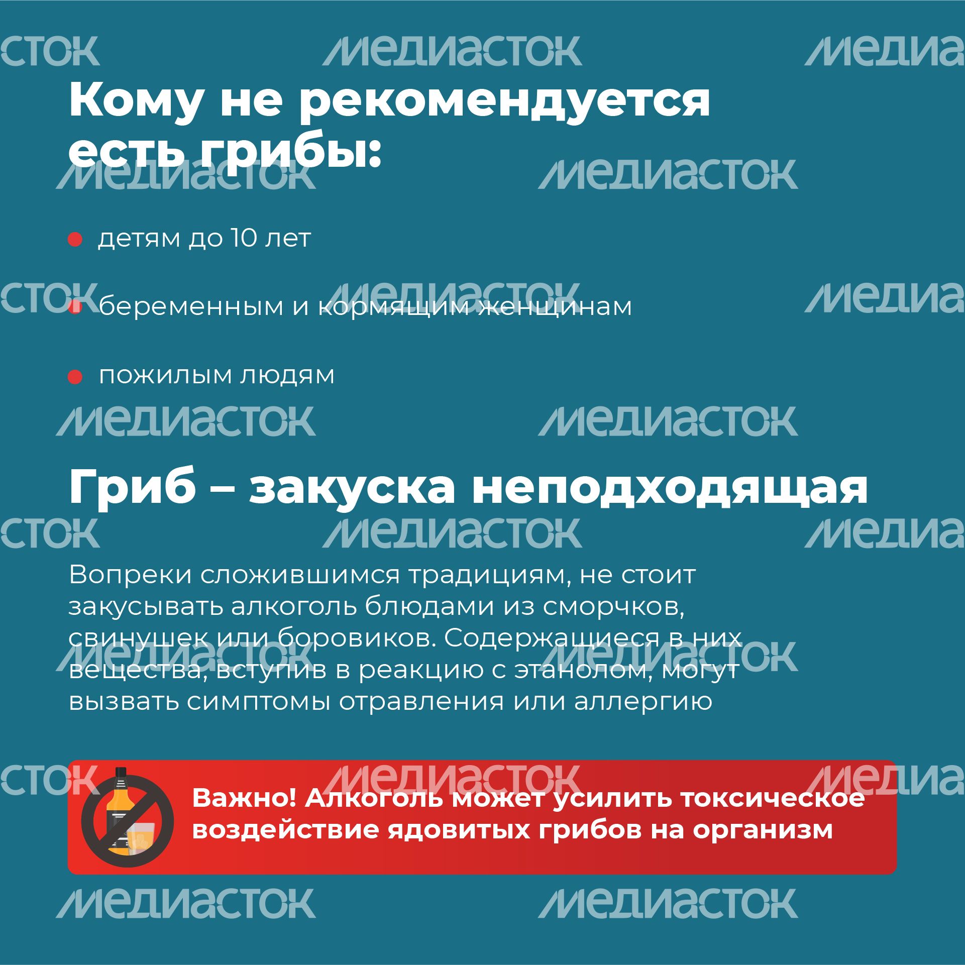 05 Квадрат_грибы_10-100