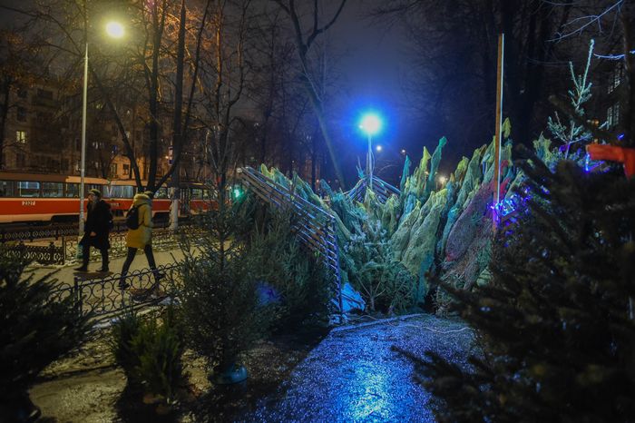 Открытие елочных базаров в Москве