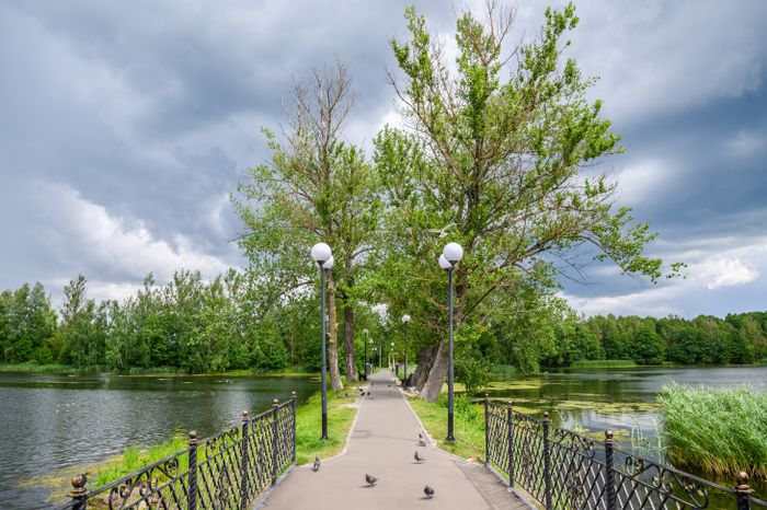 Скульптурная группа «Семья лосей» на улице Калинина города Электрогорск
