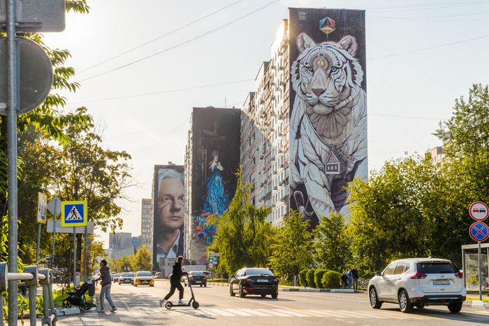 Балашиха. Муралы на стенах домов