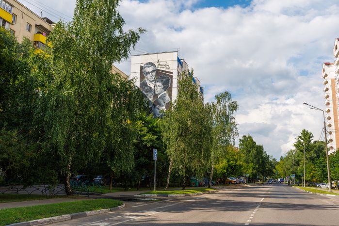 Муралы в Железнодорожном, Балашиха