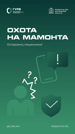 Мошенническая схема Мамонт вертикаль 01