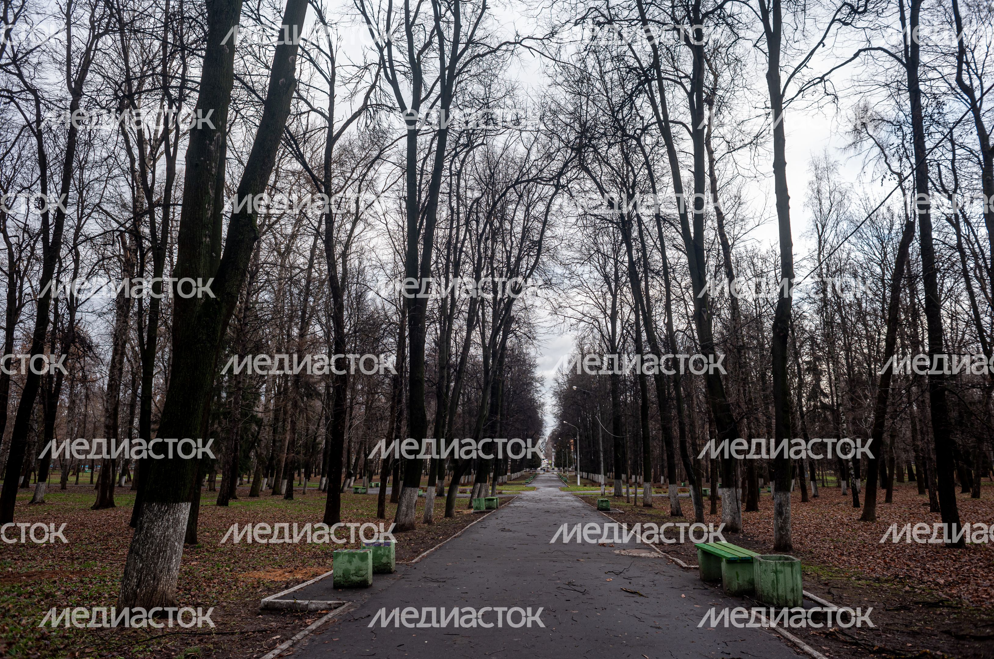Осенние виды Парка Мира в Коломне