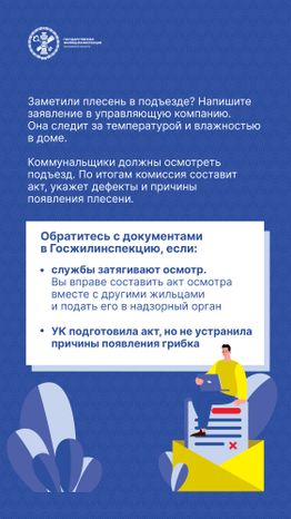 Вертикаль Плесень 05.jpg