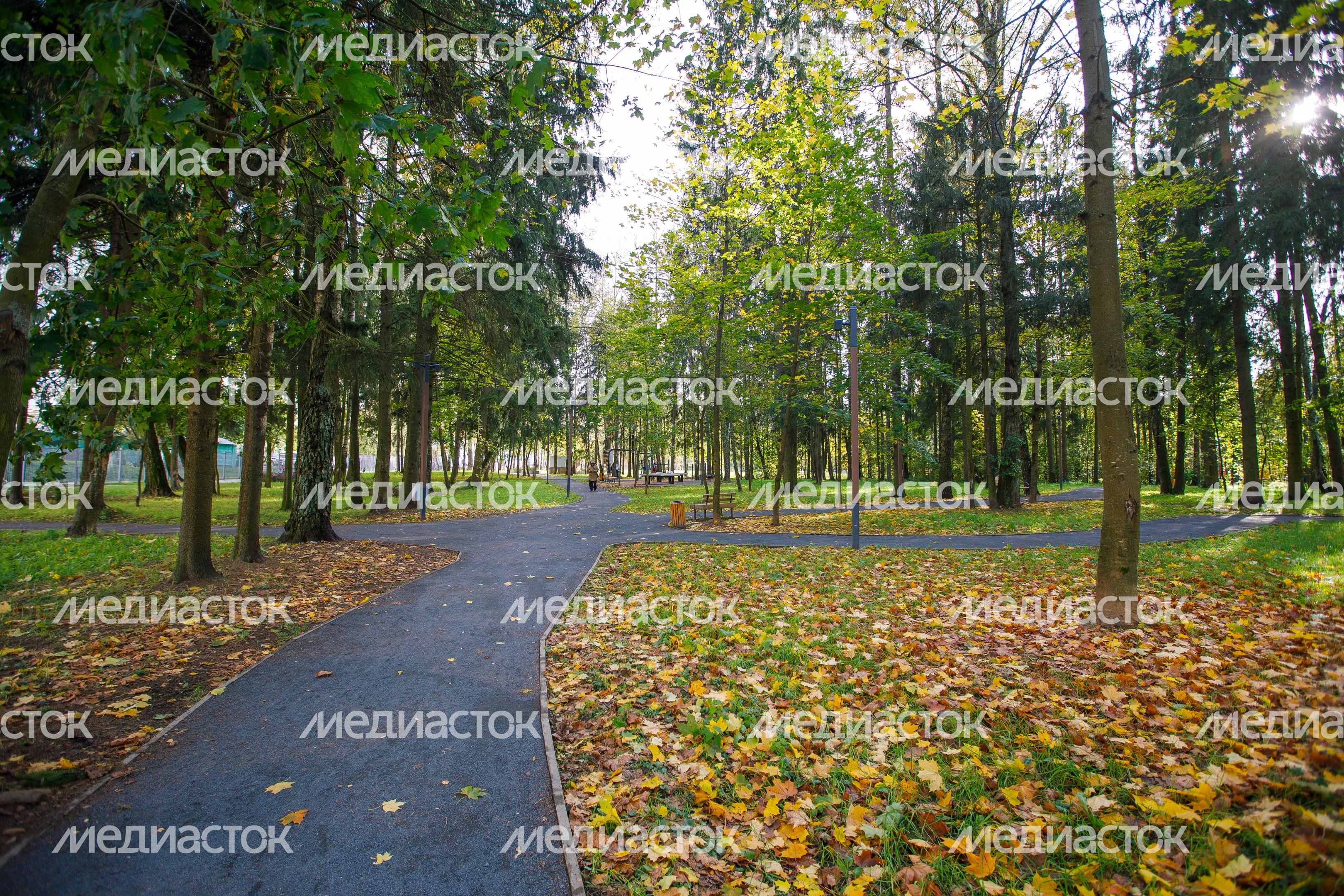 Краснознаменск. Парк «Беличий» Краснознаменск. Парк «Беличий»