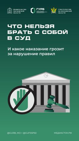 Что нельзя брать с собой в суд Вертикаль 01 С гербом МО