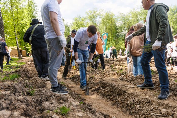 Сад Памяти в Подмосковье-2026: акция по посадке деревьев в Химках