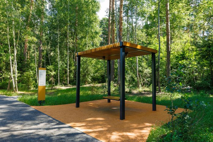 Качели на набережной у пруда в лесопарке «Стрелки» города Орехово-Зуево