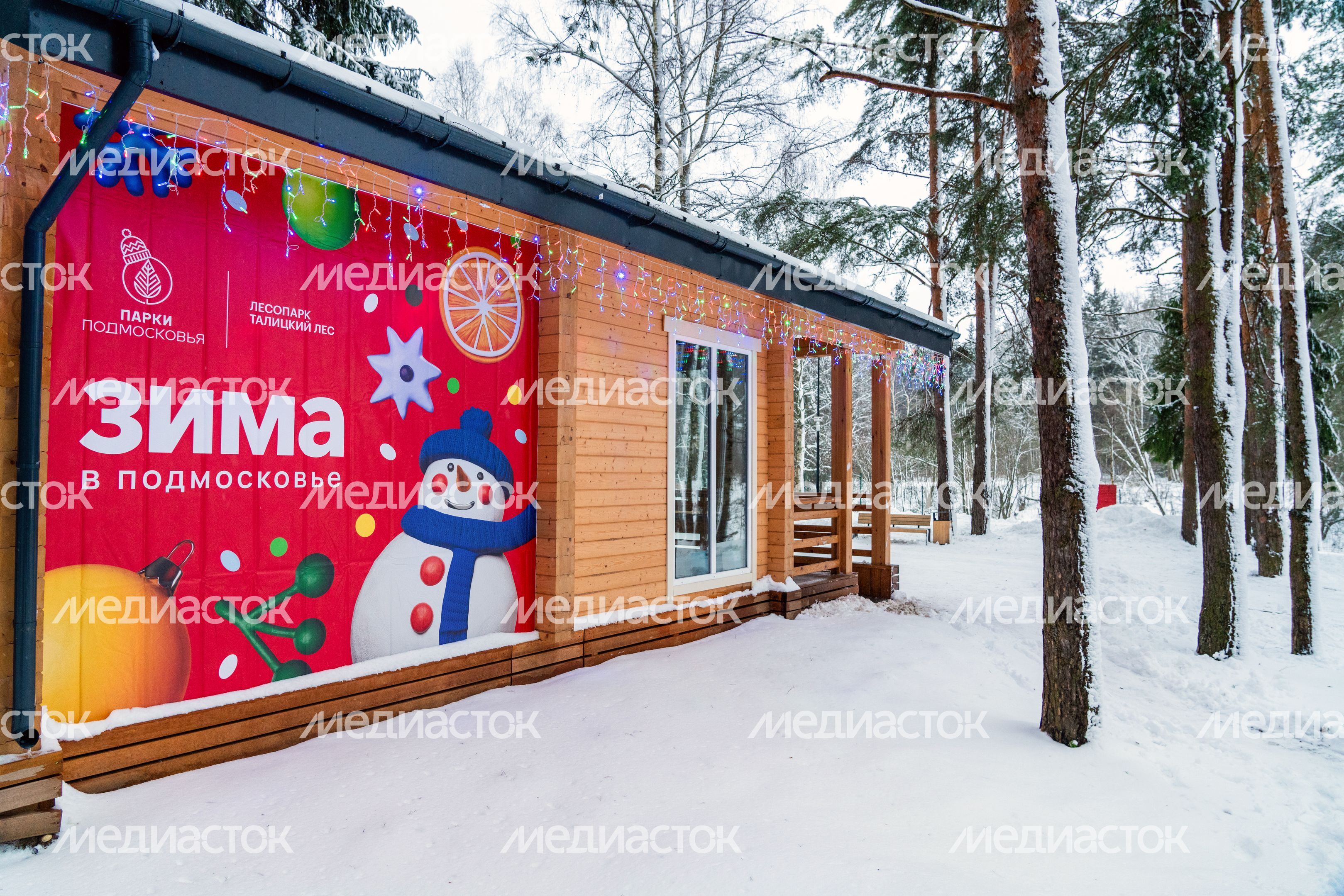 Лесопарк «Талицкий лес» зимой в Клину Лесопарк «Талицкий лес» зимой в Клину