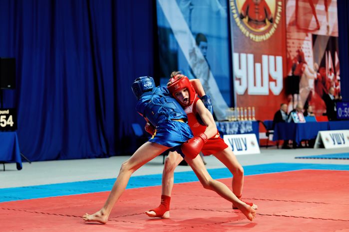 Чемпионат и Первенство Центрального федерального округа по ушу-саньда в Люберцах