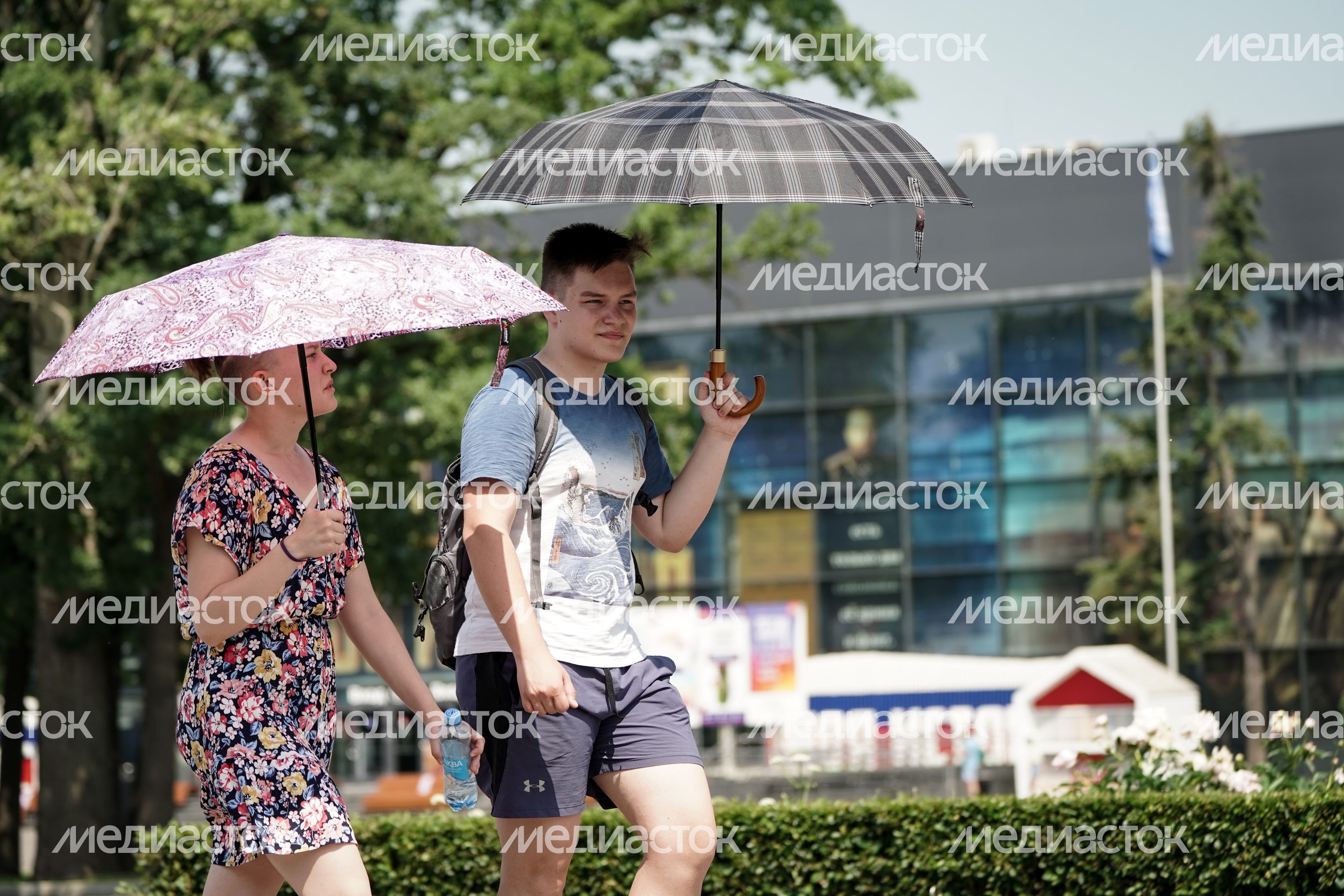 Аномальная жара в Москве