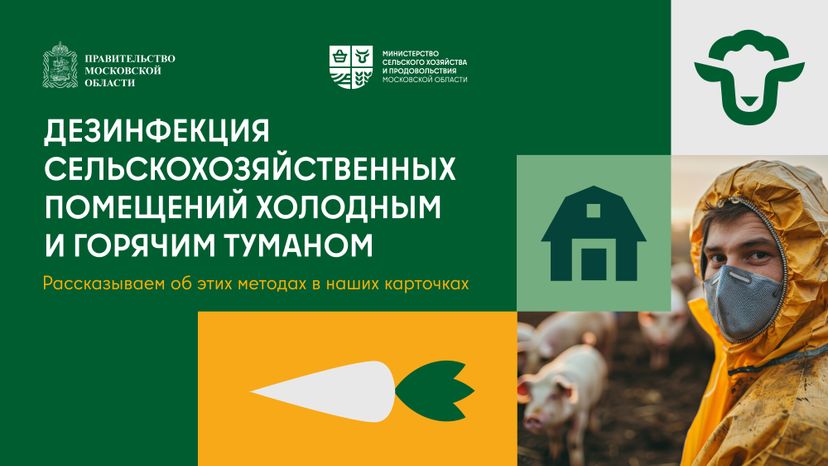 Дезинфекция сельскохозяйственных помещений холодным и горячим туманом горизонталь 01