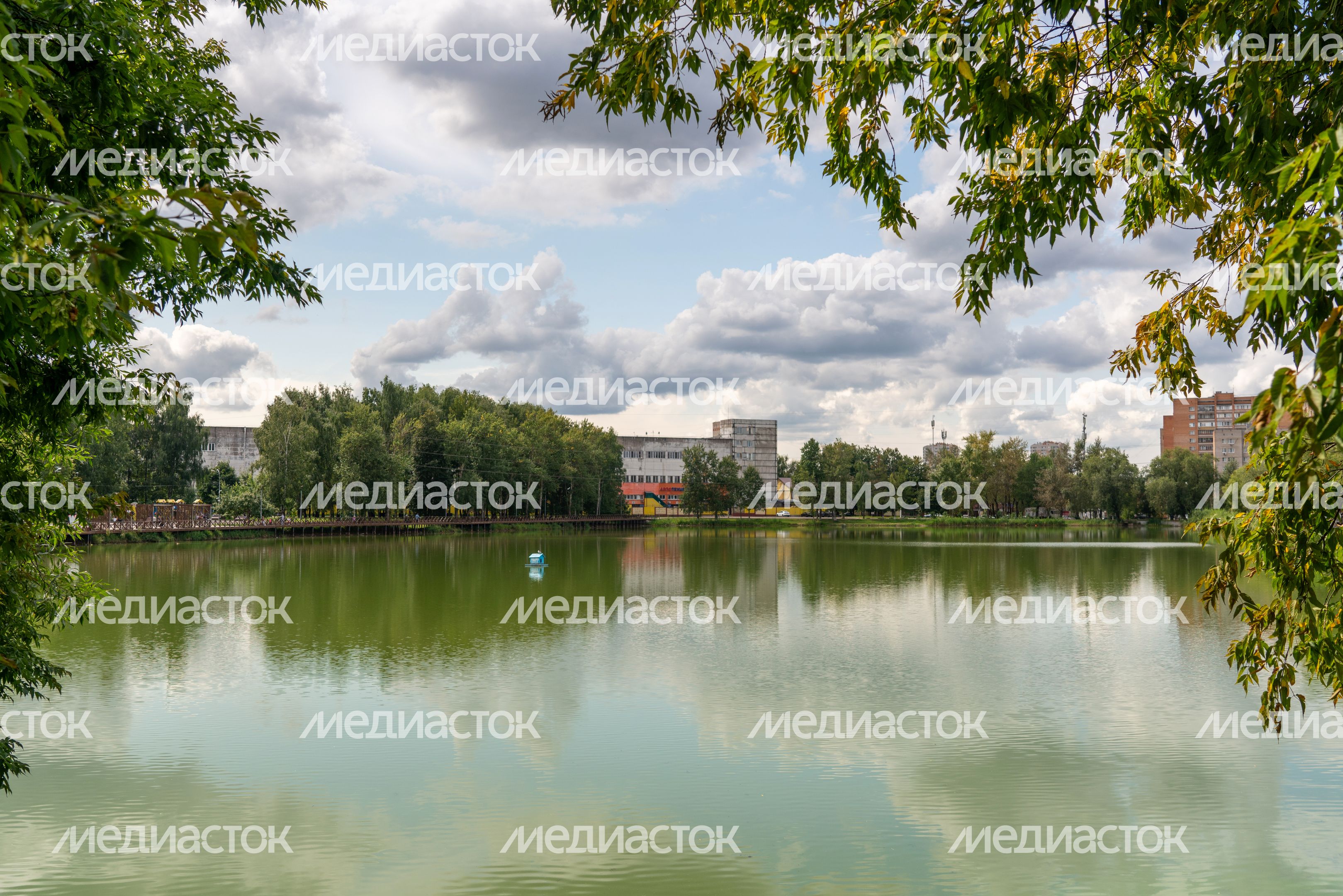 Городской пруд на улице 40 лет Октября в Лобне