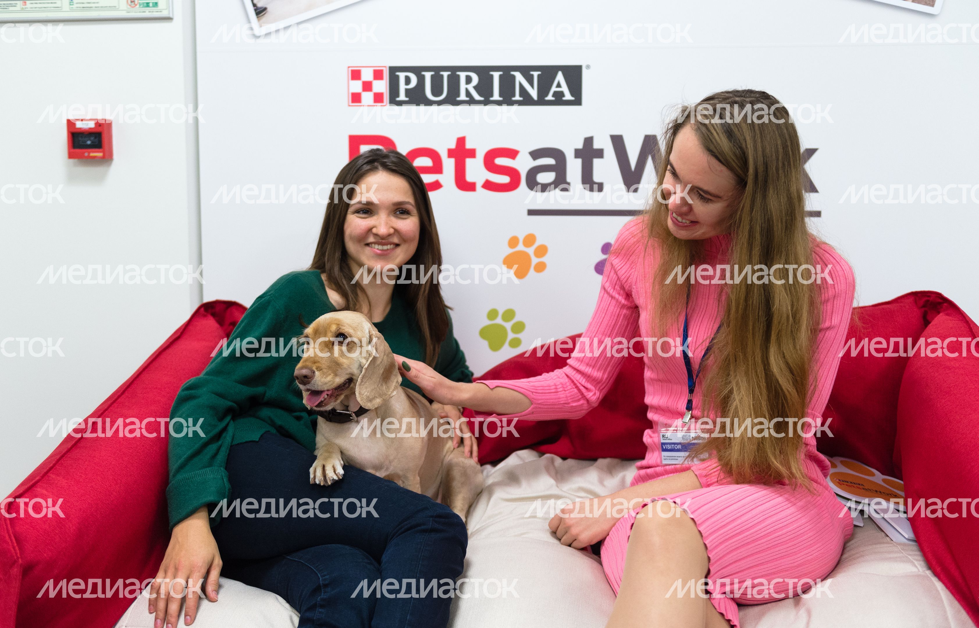 Pet‑friendly офис Purina