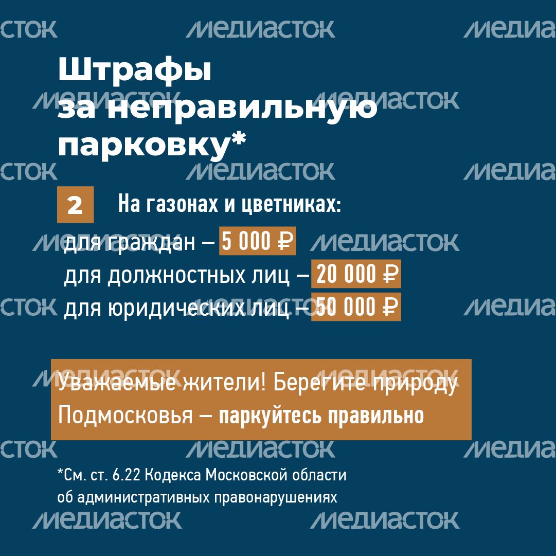 квадраты не паркуйтесь на газоне 07.png