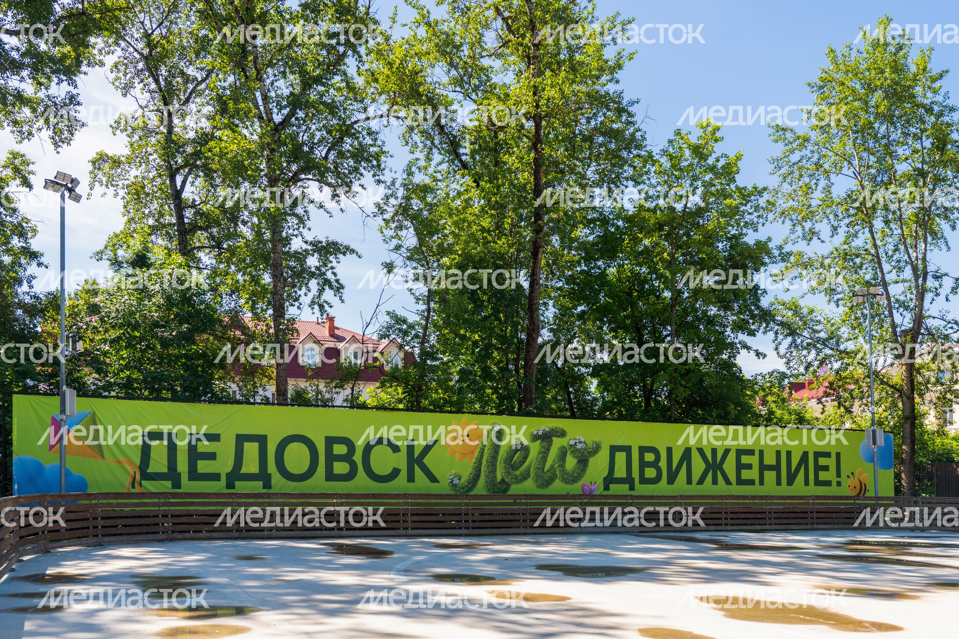 Лето в парке «Фабричный» города Дедовск округа Истра Лето в парке «Фабричный» города Дедовск округа Истра