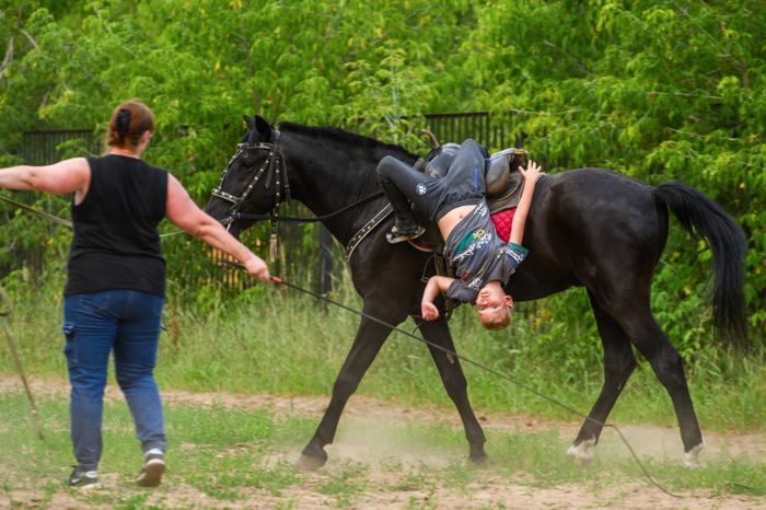 Конноспортивный клуб «Каскад» обучает верховой езде