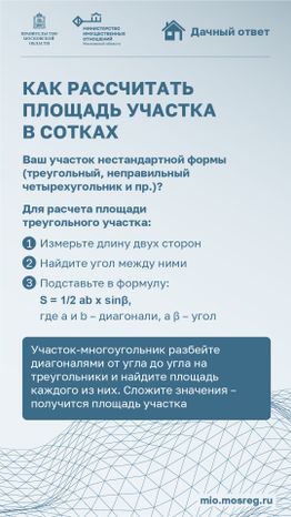 Вертикаль_Сколько квадратных метров в одной сотке_06-100.jpg