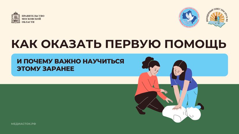 Как оказать первую помощь Молсовет горизонталь 01