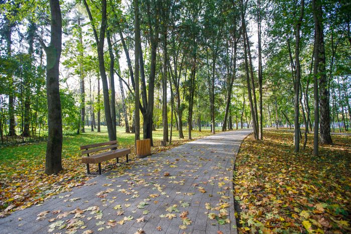 Краснознаменск. Парк «Беличий»