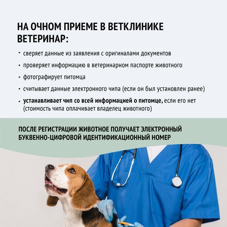 Зарегистрировать домашнее животное ред 2-квадрат-07.png