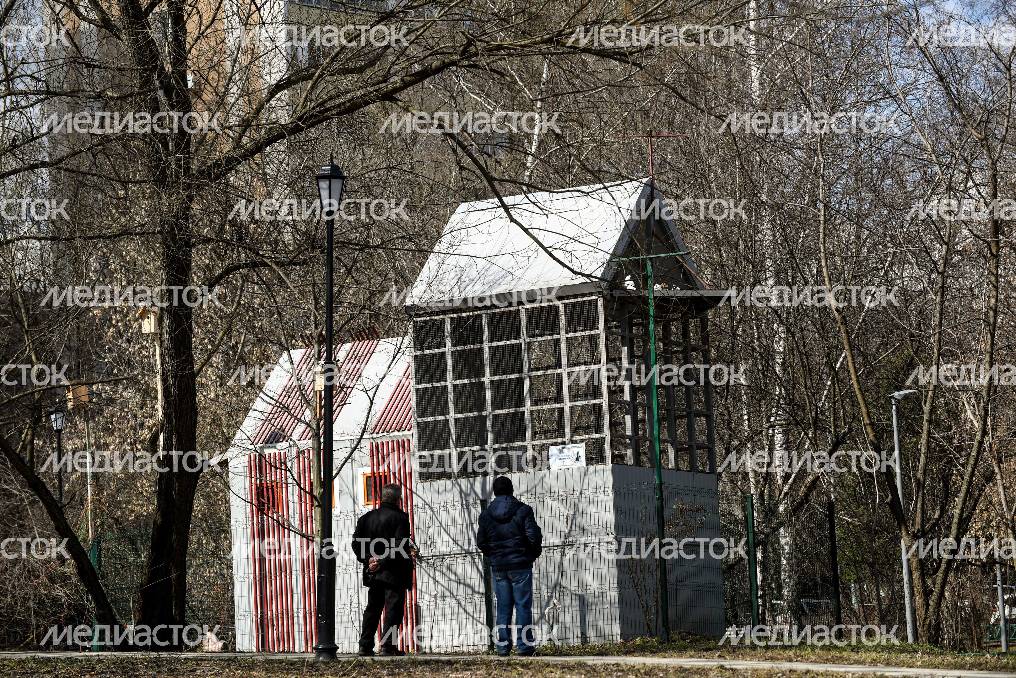 Голубятня в Москве Голубятня в Москве